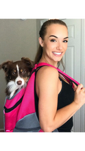 Cargar imagen en el visor de la galería, Pet To Go™ Dog and Cat Carrier Mesh Portable Travel Backpack - Pets R Kings