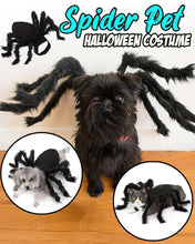Cargar imagen en el visor de la galería, Pet Funny Halloween Spider Costume - Pets R Kings