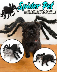 Pet Funny Halloween Spider Costume - Pets R Kings