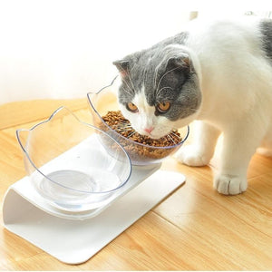 Elevated Double Cat Feeder Bowl with Anti Slip Bottom - Pets R Kings