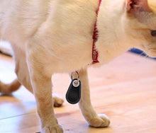 Load image into Gallery viewer, Pet Smart GPS Tracker - Pets R Kings