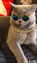 Cargar imagen en el visor de la galería, Pet Sunglasses For Dogs and Cats - Pets R Kings