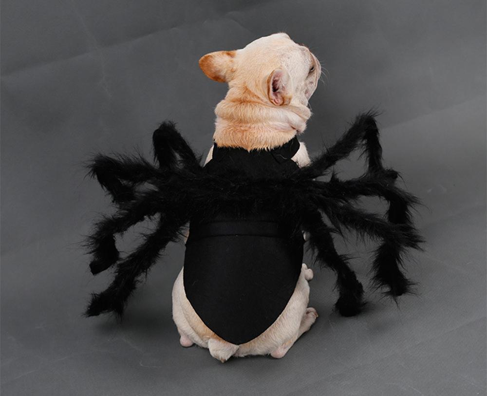 Pet Funny Halloween Spider Costume - Pets R Kings