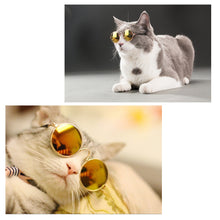 Cargar imagen en el visor de la galería, Pet Sunglasses For Dogs and Cats - Pets R Kings