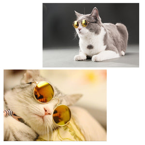Pet Sunglasses For Dogs and Cats - Pets R Kings