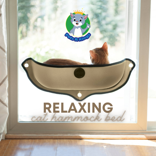 Cat Hammock Bed Window Pod Lounger Suction Cups - Pets R Kings