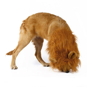 Dogs Lion Halloween Wig - Pets R Kings