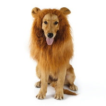 Cargar imagen en el visor de la galería, Dogs Lion Halloween Wig - Pets R Kings