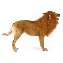 Load image into Gallery viewer, Dogs Lion Halloween Wig - Pets R Kings