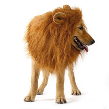 Cargar imagen en el visor de la galería, Dogs Lion Halloween Wig - Pets R Kings