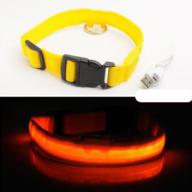 PETSRKINGS™ Rechargeable LED Dog Collar - Pets R Kings
