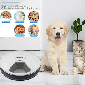 PetsRkings Automatic Pet Feeder with Digital Timer for Cats and Dogs - Pets R Kings