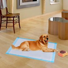 Load image into Gallery viewer, Pet Wee Pee Piddle Pad 300 Pcs 17&quot; x 24&quot; - Pets R Kings