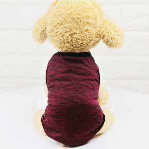Colorful and Bright Winter Fleece Hoodie - Pets R Kings