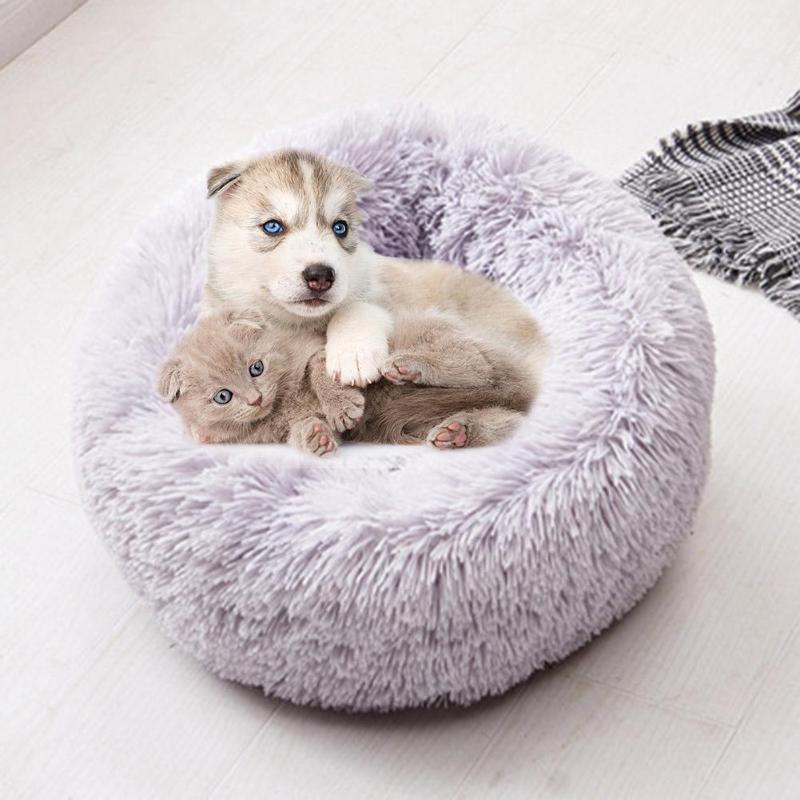 Pet Favorites Calming Marshmallow Pet Bed 😻 - Pets R Kings