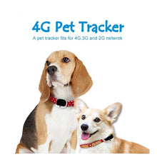 Cargar imagen en el visor de la galería, DogGPS- A REAL 4G GPS Tracker &amp; Pedometer For Pets - Pets R Kings