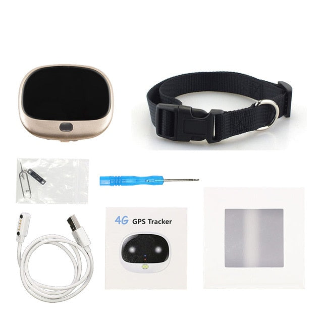 DogGPS- A REAL 4G GPS Tracker & Pedometer For Pets - Pets R Kings
