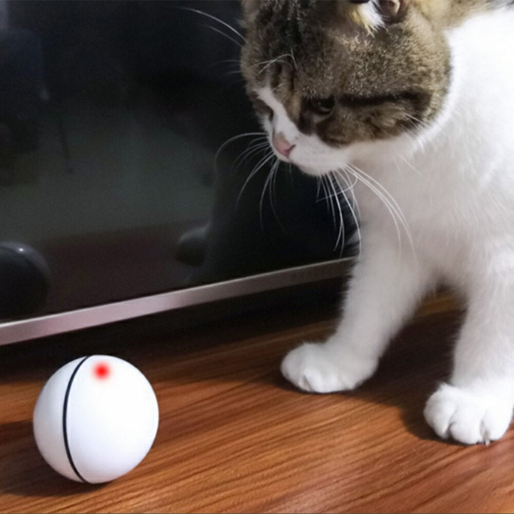 Pet Cat Toy LED Ball Light USB Charging Smart Cat Training Toys Automatic Rolling Ball Pet Dog and Dog Toy Pet Supplies - Pets R Kings