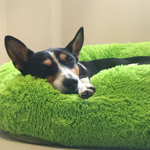 Cargar imagen en el visor de la galería, PetsRkings Marshmallow Pet Bed - Pets R Kings