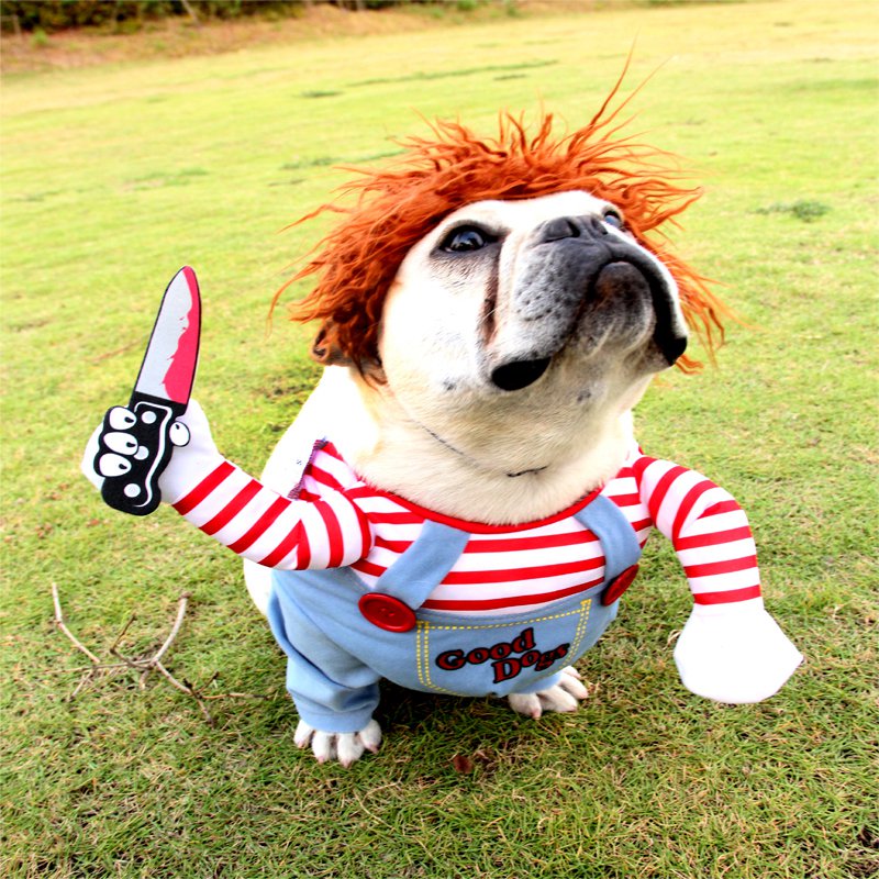 Dog Halloween Chucky Costume - Pets R Kings