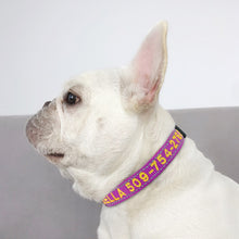 Cargar imagen en el visor de la galería, PETSRKINGS™ Personalized Reflective Dog Collar - Pets R Kings