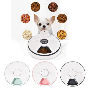 PetsRkings Automatic Pet Feeder with Digital Timer for Cats and Dogs - Pets R Kings