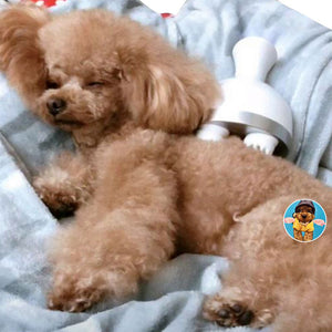 Electric Claw™ Pet Massager - Pets R Kings