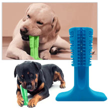 Load image into Gallery viewer, Pets R Kings Toothbrush Chew Toy - Pets R Kings