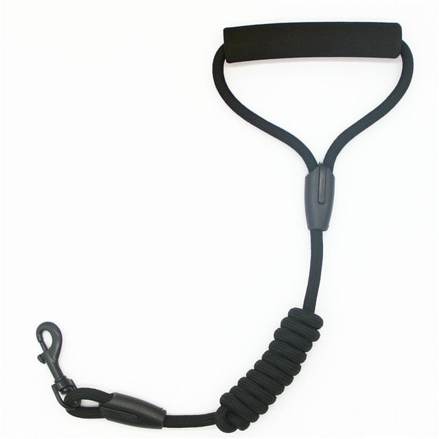Dog Leash for Running and Walking Training - Pets R Kings