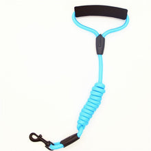 Cargar imagen en el visor de la galería, Dog Leash for Running and Walking Training - Pets R Kings