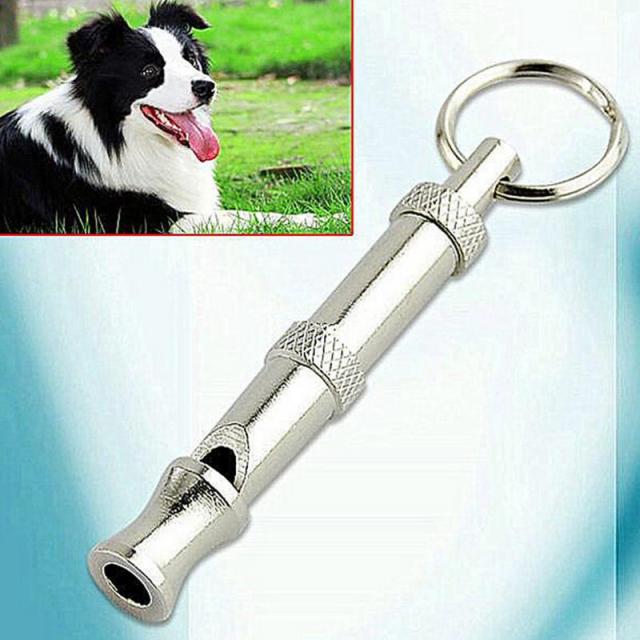 Pet Dog Whistle Training - Pets R Kings