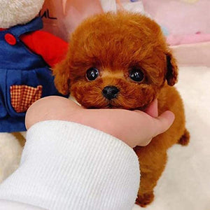 Realistic Teddy Lucky Dog - Pets R Kings