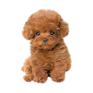 Realistic Teddy Lucky Dog - Pets R Kings