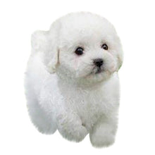 Cargar imagen en el visor de la galería, Realistic Teddy Lucky Dog - Pets R Kings