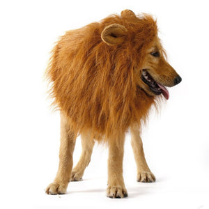 Dogs Lion Halloween Wig - Pets R Kings