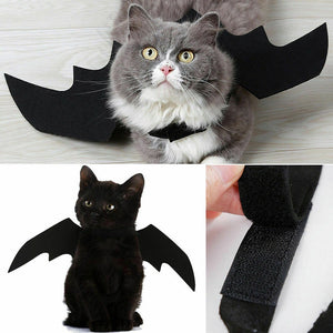 Cute Vampire Cat Dog Bat Wings - Pets R Kings