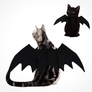 Cute Vampire Cat Dog Bat Wings - Pets R Kings