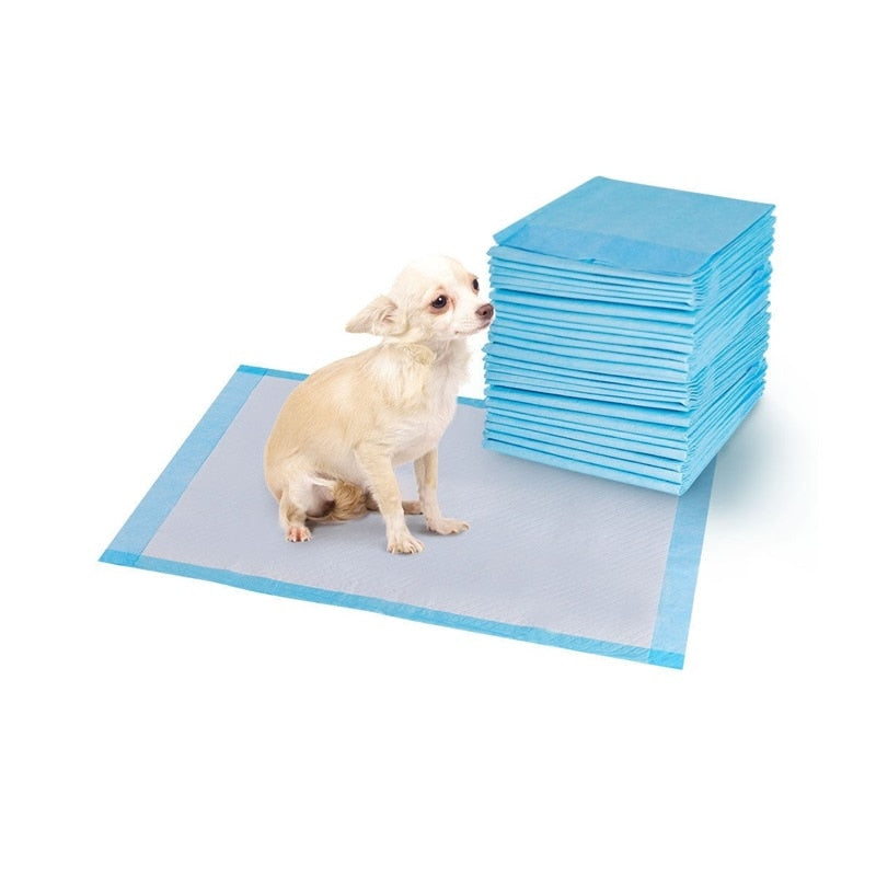 100 pcs Puppy Pet Pads Dog Cat Wee Pee Piddle Pad Training Underpads (30" x 36") - Pets R Kings