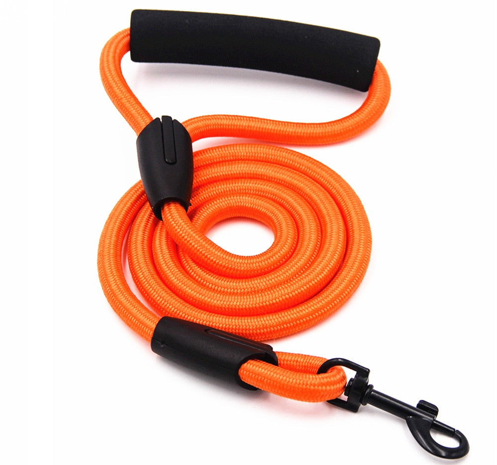 Dog Leash for Running and Walking Training - Pets R Kings