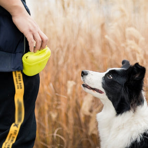 Pet Portable Dog Training Waist Treat Bag - Pets R Kings