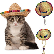Cargar imagen en el visor de la galería, Fashion Pet Woven Straw Hat for Cat - Pets R Kings
