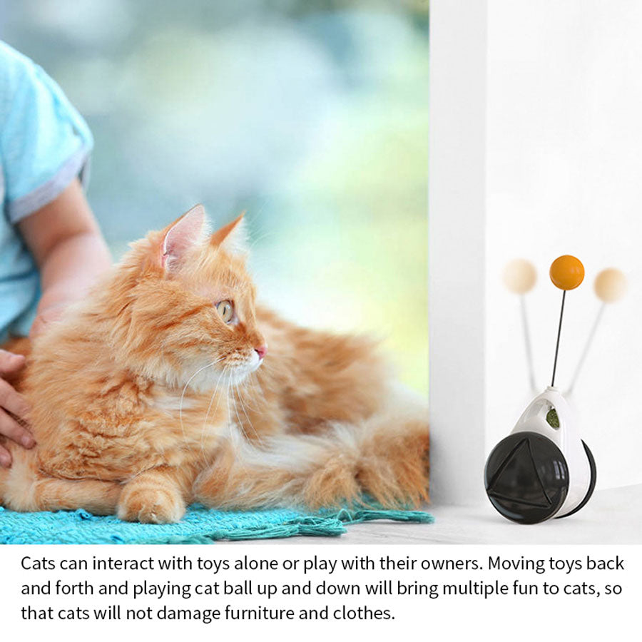 Wheels Automatic Indoor Exercise Cat Toys - Pets R Kings