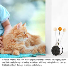 Cargar imagen en el visor de la galería, Wheels Automatic Indoor Exercise Cat Toys - Pets R Kings