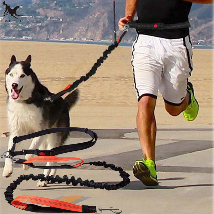 Hands Free Dog Leash Waist Rope - Pets R Kings