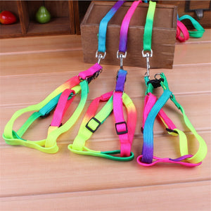 Colorful Rainbow Pet Dog Collar Harness Leash Soft Walking Harness Lead Colorful and Durable Traction Rope Nylon 120cm - Pets R Kings