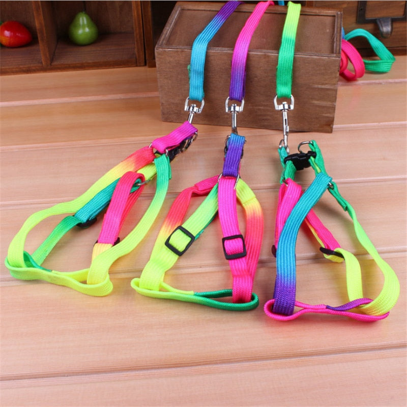 Colorful Rainbow Pet Dog Collar Harness Leash Soft Walking Harness Lead Colorful and Durable Traction Rope Nylon 120cm - Pets R Kings