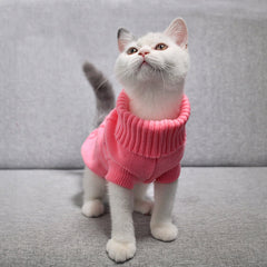 Cute Fashionable Cardigan - Pets R Kings