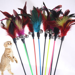 1PCS Hot Sale Cat Toys Make A Cat Stick Feather With Small Bell Natural Like Birds Random Color Black Coloured Pole - Pets R Kings