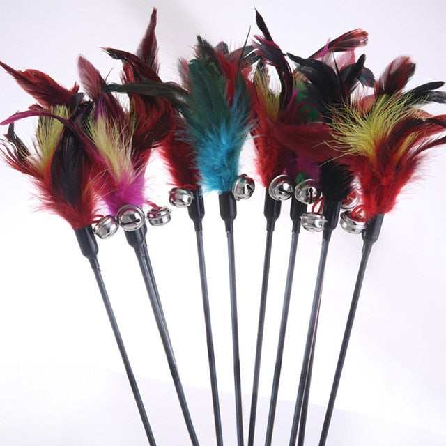 1PCS Hot Sale Cat Toys Make A Cat Stick Feather With Small Bell Natural Like Birds Random Color Black Coloured Pole - Pets R Kings