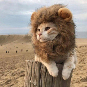 Cat Funny Halloween Lion Costume - Pets R Kings